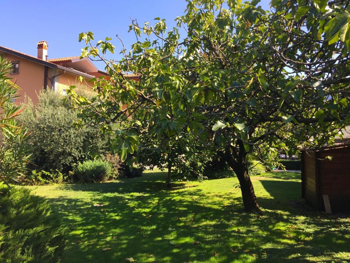 Abies Lago Di Como ดองโก ภายนอก รูปภาพ