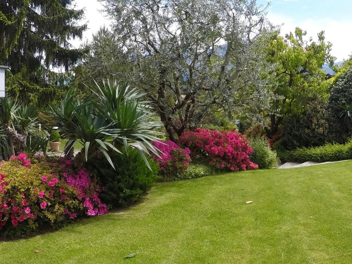 Abies Lago Di Como ดองโก ภายนอก รูปภาพ