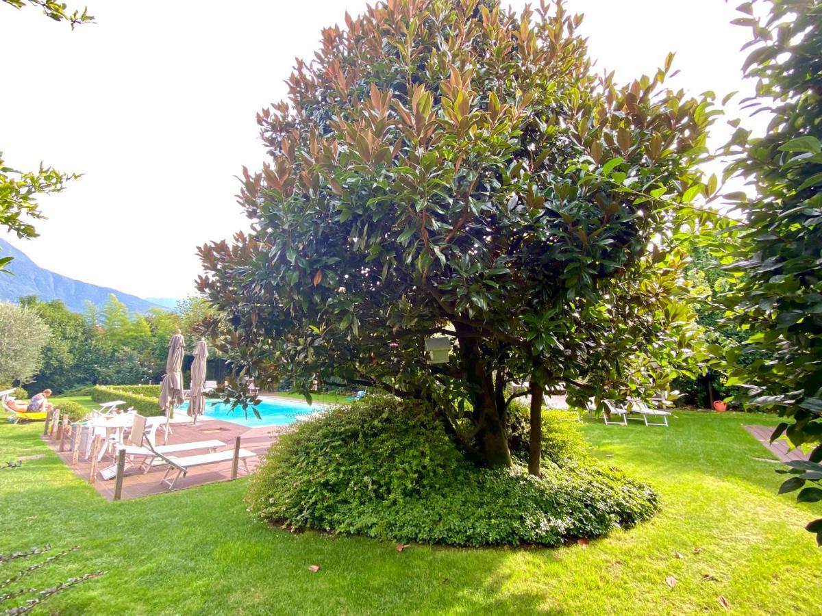 Abies Lago Di Como ดองโก ภายนอก รูปภาพ